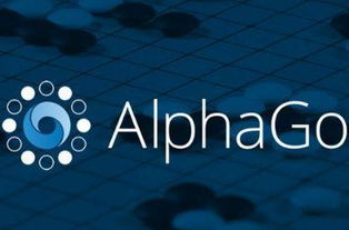 誰(shuí)能打敗AlphaGo Zero？多角度探秘主流圍棋AI的博弈與未來(lái)